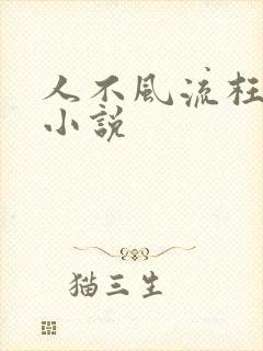 人不风流枉少年小说