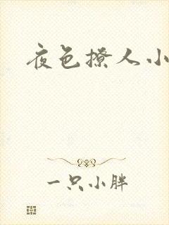夜色撩人小说封面