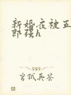 新婚夜被五个伴郎强h