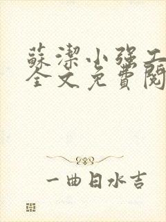 苏洁小强工地情全文免费阅读