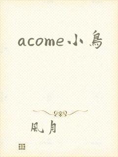 acome小鸟
