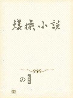爆操小说