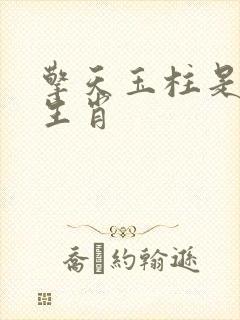 擎天玉柱是什么生肖封面