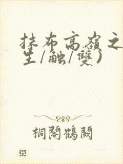 抹布高岭之花(生/触/双)