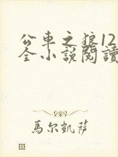 公车之狼12集全小说阅读