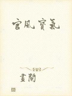 官风宝气封面