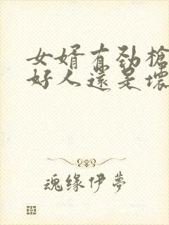 女婿有劲枪枪是好人还是坏人封面