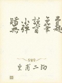 赌小说免费阅读无弹窗笔趣阁