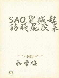 SAO货撅起你的贱屁股来