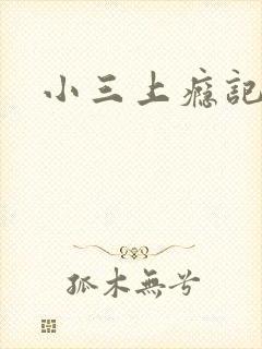 小三上瘾记