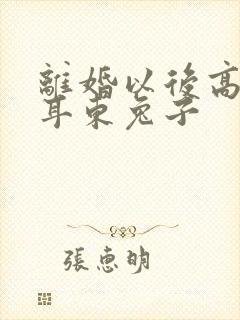 离婚以后高干 耳东兔子封面