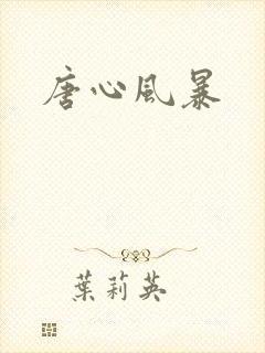唐心风暴