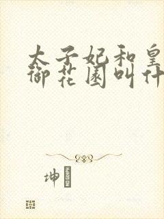 太子妃和皇帝在御花园叫什么小说