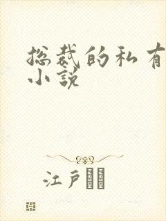 总裁的私有宝贝小说