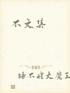 不文集封面