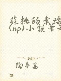 苏桃的幸福生活(np)小说笔趣阁沐沐