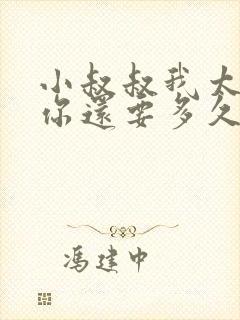 小叔叔我太累了你还要多久封面