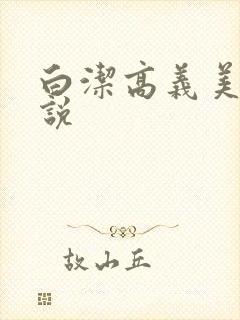 白洁高义美红小说