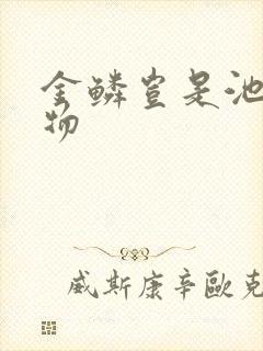 金鳞岂是池中之物