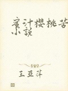 蜜汁樱桃苦咖啡小说