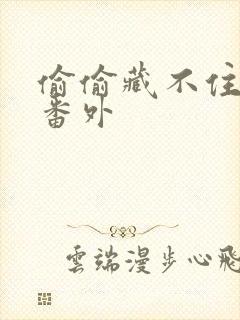 偷偷藏不住新婚番外