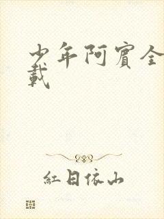 少年阿宾全集下载封面