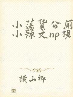 小荡货公厕h文小辣文np视频封面