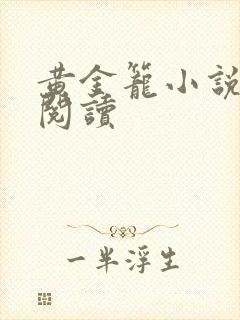 黄金笼小说免费阅读