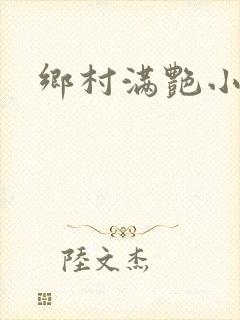 乡村满艳小说封面