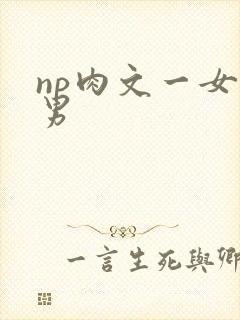 np肉文一女多男