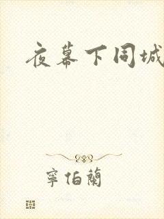 夜幕下同城网