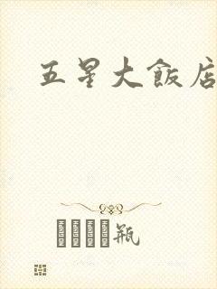 五星大饭店小说封面