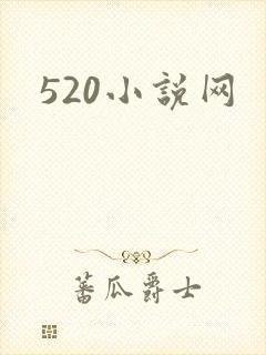 520小说网