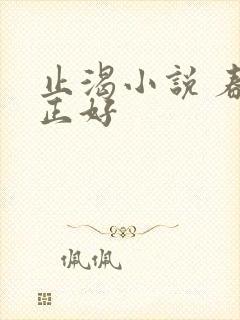 止渴小说 春光正好