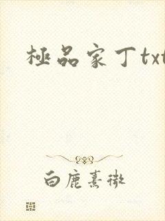 极品家丁txt