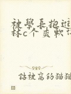 被学长抱进小树林c个爽软件