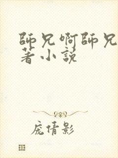 师兄啊师兄的原著小说封面