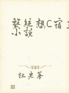 系统想C宿主的小说