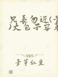 兄长勿近(骨科)大包子容华