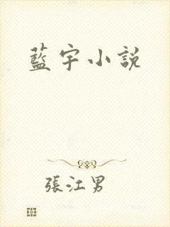 蓝宇小说