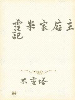 霍米家庭主妇日记封面