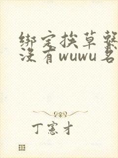 绑定挨草系统后没有wuwu名字