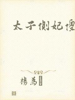 太子侧妃傻乎乎