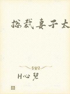 总裁妻子太诱人