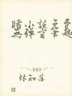 赌小说免费阅读无弹窗笔趣阁封面