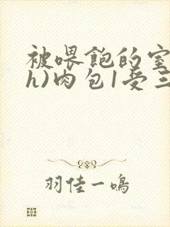 被喂饱的室友(h)肉包1受三攻