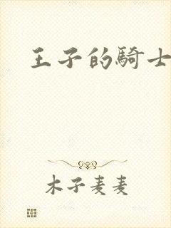 王子的骑士小说封面