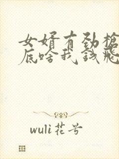 女婿有劲枪枪到底啥我钱飞了