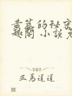 黄蓉的秘密 笔趣阁 小说免费阅读下载