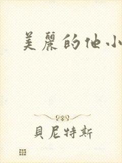 美丽的他小说封面